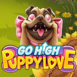 Go High Puppy Love online game logo by RubyPlay on hugocasinoo.pl